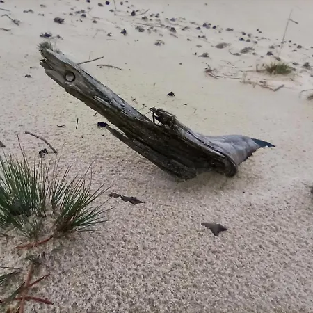 Dom wakacyjny Sloneczne Tarasy *