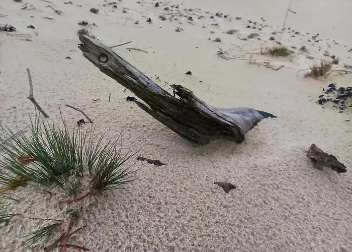 Tatil Evi Sloneczne Tarasy *